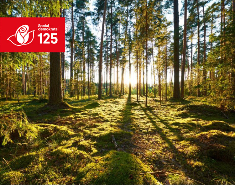 Gegužės 1-ąją bus sodinamas „Socialdemokratų miškas“
